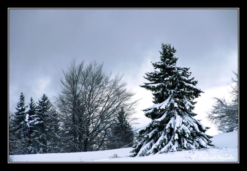 Neige sur le Salève 2014